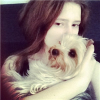 2013ֻĵŮͷ ҧ
