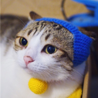 ɰèͷͼƬ2016ѡ