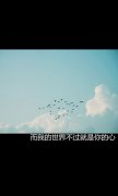 意境的qq最新文字图片