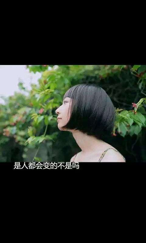 失宠的记忆,将在寂静的夜里,随着冰冷的心慢慢逝去。
