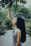 简单的意境清新qq女生皮肤
