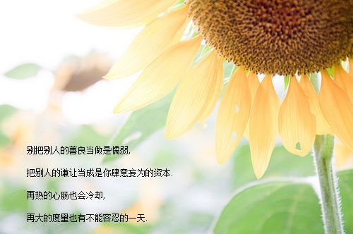 我的眼泪为谁飞,我的眼泪给了谁,誰又能为谁憔悴