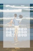 美丽的爱情青春情侣皮肤