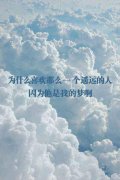 清新的唯美个性皮肤