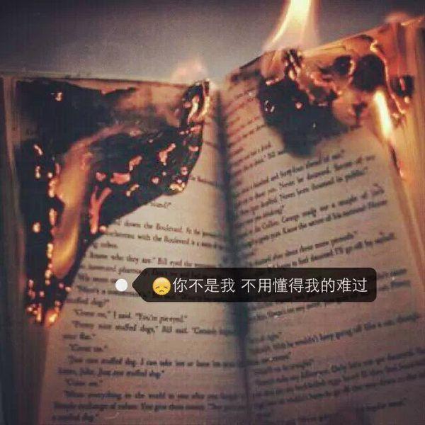 不埋怨人世的苍凉，只能怪自己太自以为是。