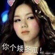 搞笑的可爱邓紫棋头像