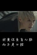 剧情版WOLF皮肤带字