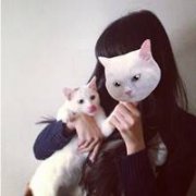 可爱猫咪简单的女生头像