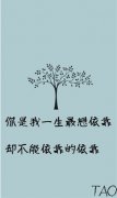 带字文艺的简约个性皮肤