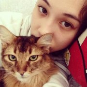 水原希子和她的猫简单图片