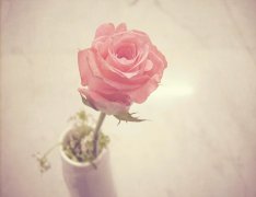 ˵˵ȫ2016˺