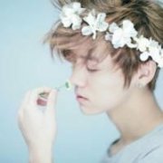 鹿晗最新的清新简单头像