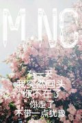 简约的最新qq清新皮肤