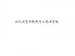 文字的简约个性皮肤