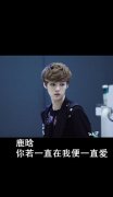 EXO帅气的个性带字皮肤