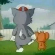 猫和老鼠可爱的搞笑头像