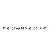 小清新的简单个性文字皮肤