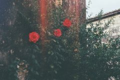 ܴӴԺǶҸĻţûб˴˵