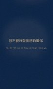 最新的简单文字清新皮肤