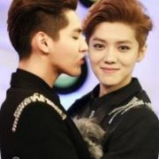 吴亦凡和鹿晗帅气的头像