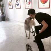 qq个性的男生简单头像