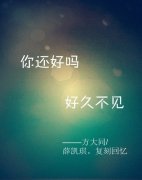 歌词简约的qq皮肤