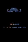 简单好看的文字皮肤