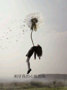 简约独特的创意皮肤