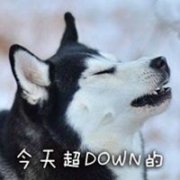 二哈搞笑表情包头像