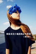 最新的简单意境个性皮肤