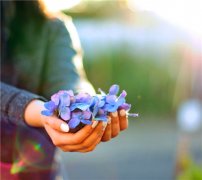 手捧花图片 幸福在这里