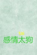 文字纯色的简约皮肤