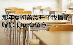 뿪ѧ   .