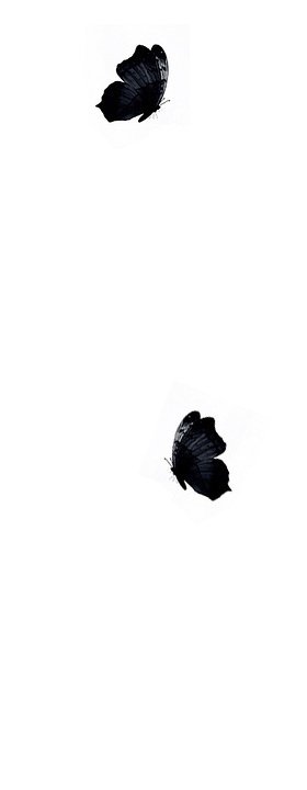 ԼĶƤ