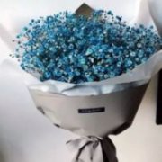 超美的满天星qq个性头像
