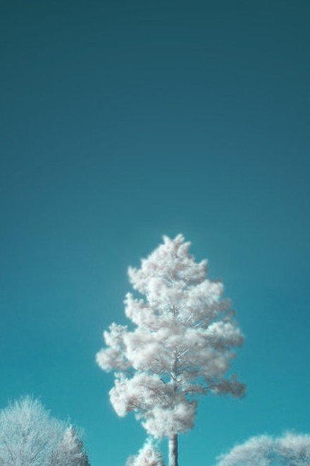 СµĸԶƤ