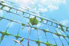 简单的最新动漫清新图片
