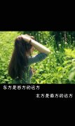qq文字意境简单皮肤