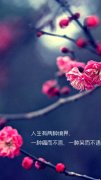 唯美文字皮肤:流年长歌