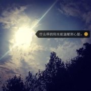 意境文字图片:什么样的阳光能温暖到心脏