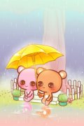 萌萌的Miss Bear