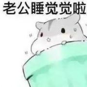 超软萌仓鼠表情之老公老婆互撩篇!