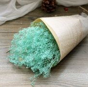 满天星花语:甘愿做配角