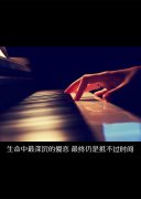 唯美文字:感谢相遇