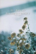 唯美意境皮肤:浅末年华
