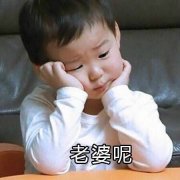 老婆表情包