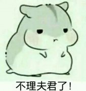 仓鼠表情包 老婆版 这么可爱确定不进?