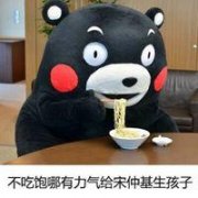 熊本熊。