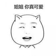 表情包五波
