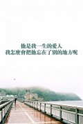意境简约文字皮肤:她是我一世的爱人